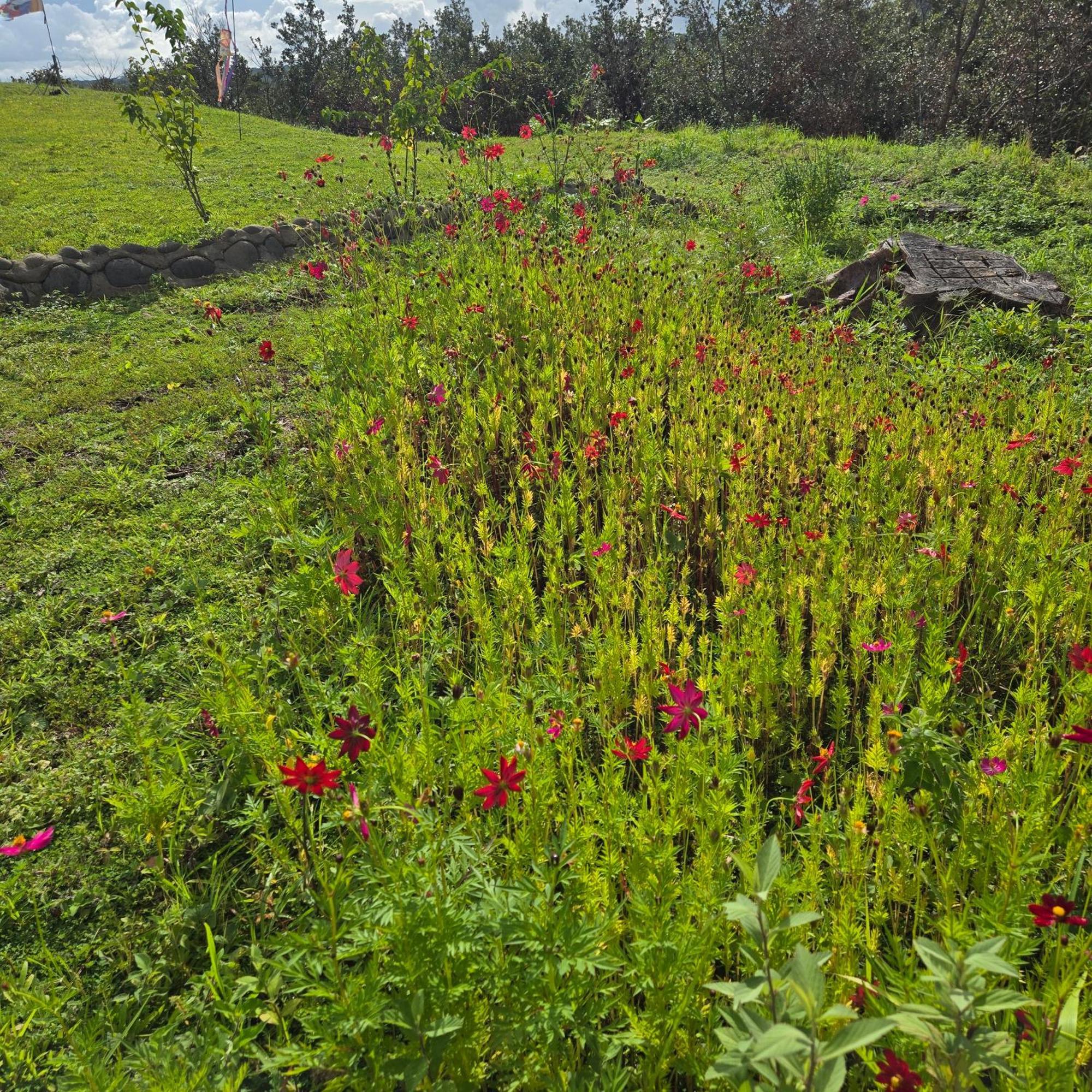 Hacienda En Los Volcanes Guayabo  Buitenkant foto