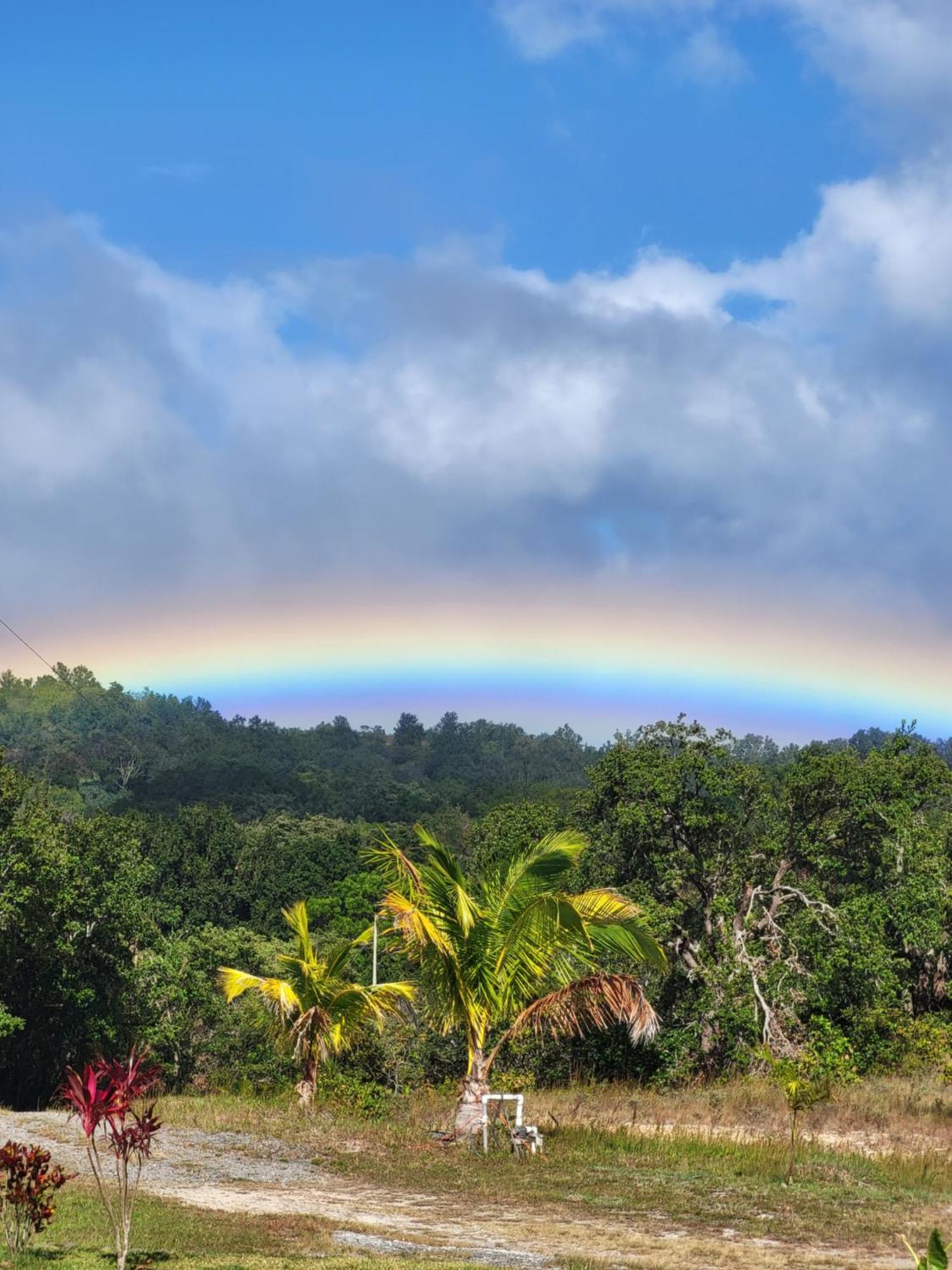 Hacienda En Los Volcanes Guayabo  Buitenkant foto